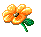 kleine gelbe Blume