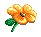 kleine gelbe Blume rechts02